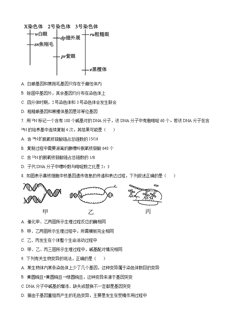 2024绵阳南山中学高二上学期开学考试生物试题含解析02