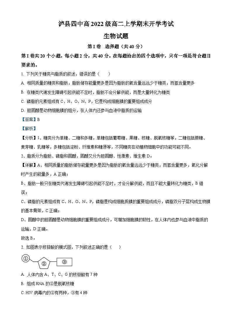 2024泸州泸县四中高二上学期开学考试生物试题含解析01