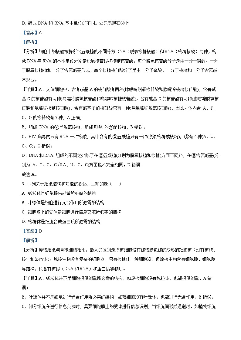 2024泸州泸县四中高二上学期开学考试生物试题含解析02
