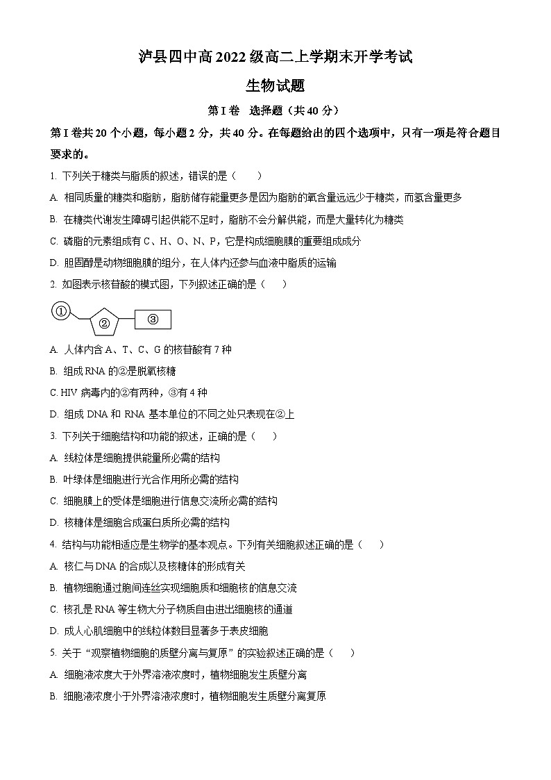 2024泸州泸县四中高二上学期开学考试生物试题含解析01