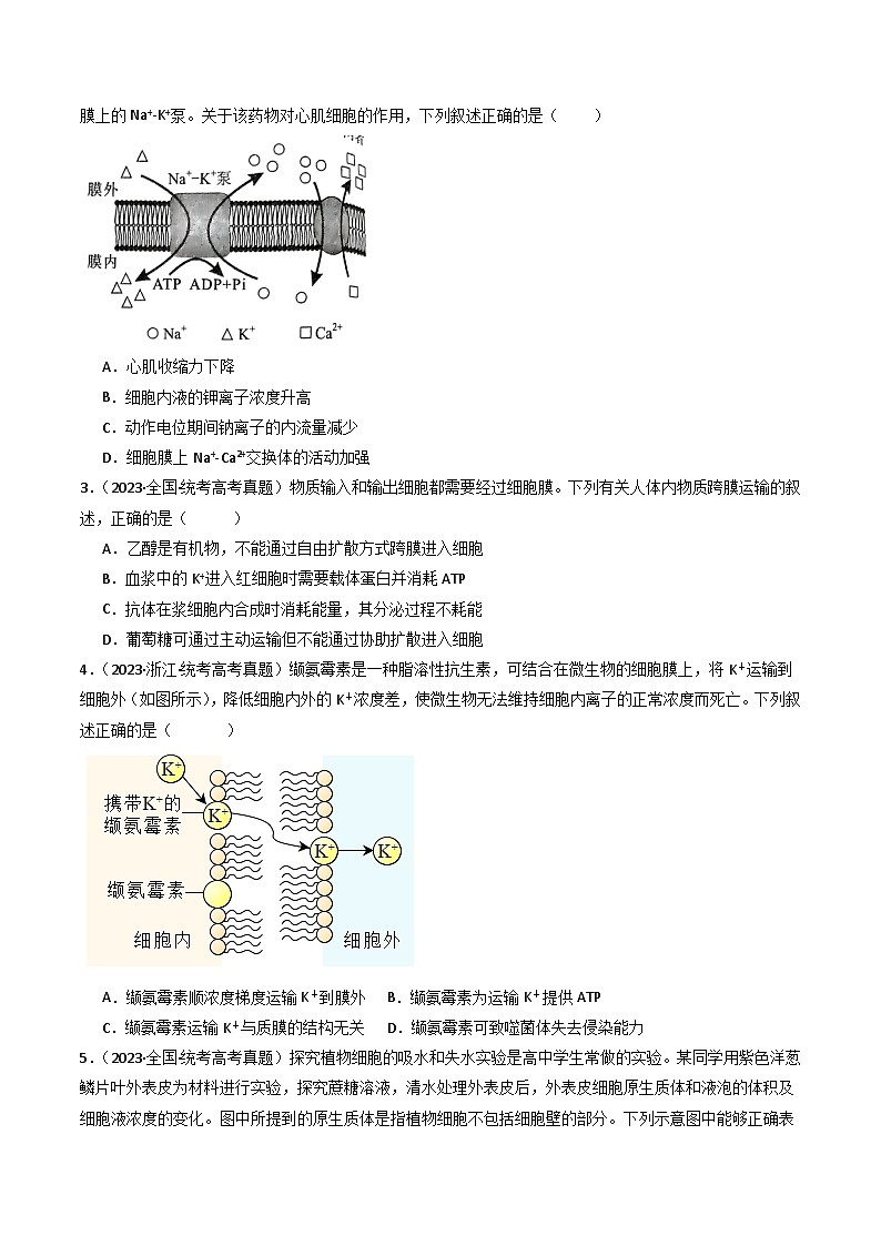 专题03 物质运输- 十年（2014-2023）高考生物真题分项汇编（全国通用）02