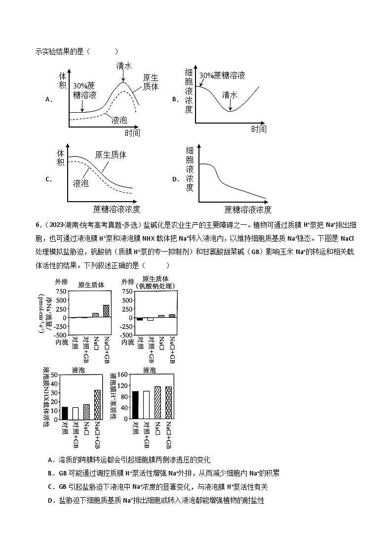 专题03 物质运输- 十年（2014-2023）高考生物真题分项汇编（全国通用）03