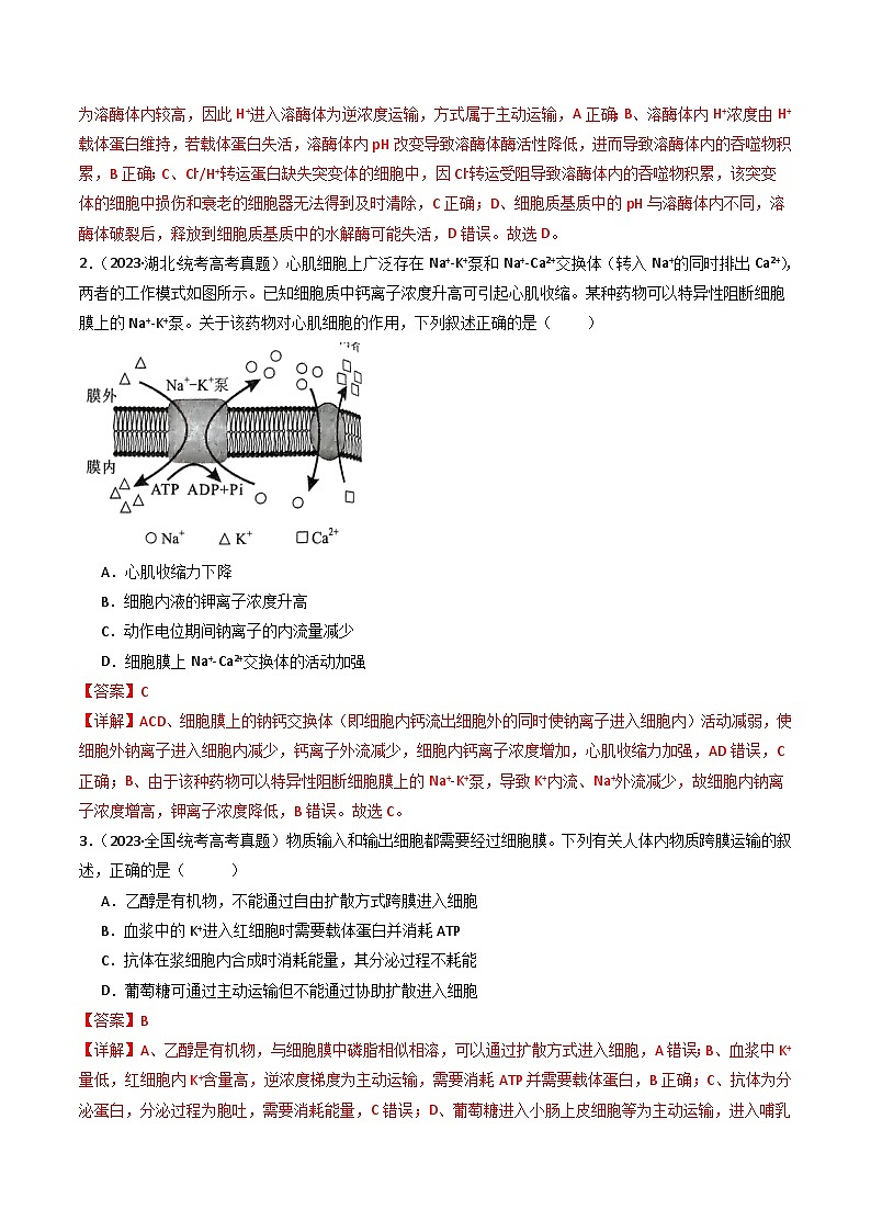 专题03 物质运输- 十年（2014-2023）高考生物真题分项汇编（全国通用）02