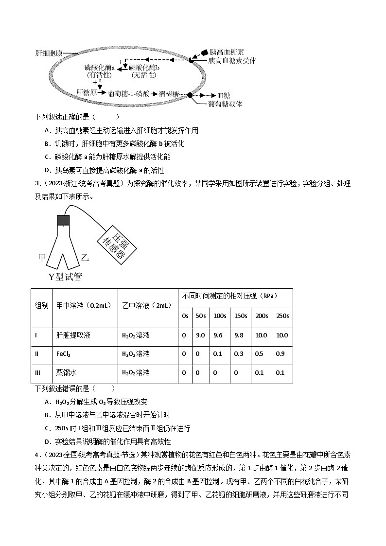 专题04 酶和ATP- 十年（2014-2023）高考生物真题分项汇编（全国通用）02