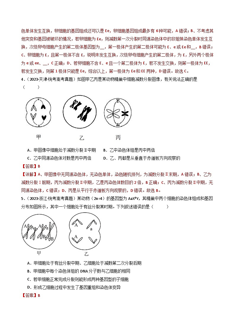 专题08 有丝分裂和减数分裂- 十年（2014-2023）高考生物真题分项汇编（全国通用）03