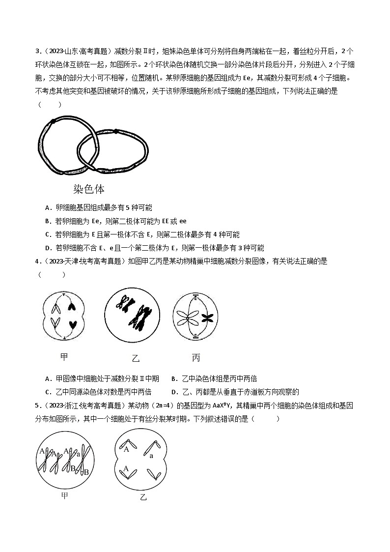 专题08 有丝分裂和减数分裂- 十年（2014-2023）高考生物真题分项汇编（全国通用）02