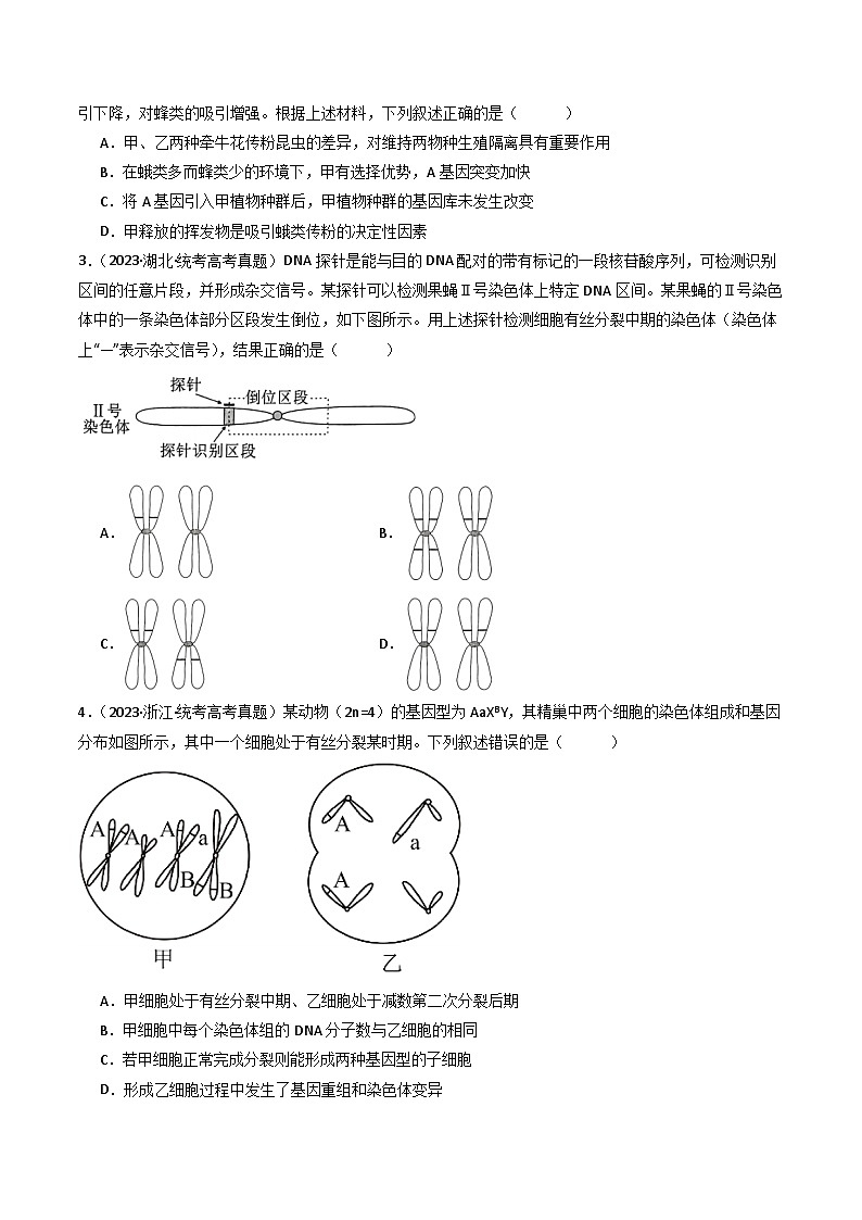 专题14 变异、育种与进化- 十年（2014-2023）高考生物真题分项汇编（全国通用）02