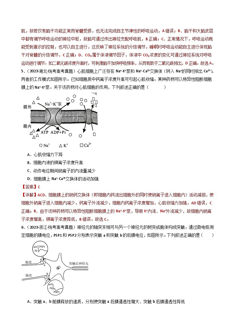 专题17 神经调节- 十年（2014-2023）高考生物真题分项汇编（全国通用）03