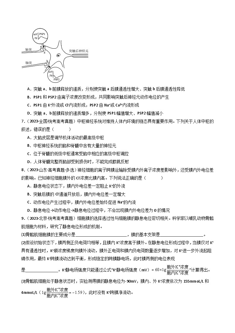专题17 神经调节- 十年（2014-2023）高考生物真题分项汇编（全国通用）03