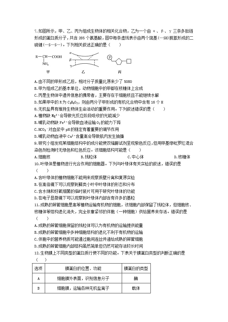 四川省德阳市第五中学2023-2024学年高三上学期开学考试生物试题02