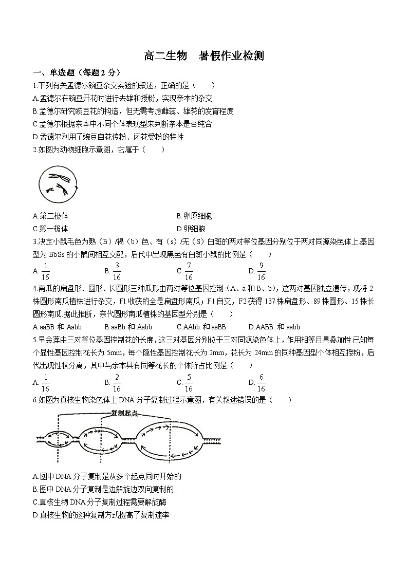 山东省烟台市一中2023-2024学年高二上学期开学考试生物试题01