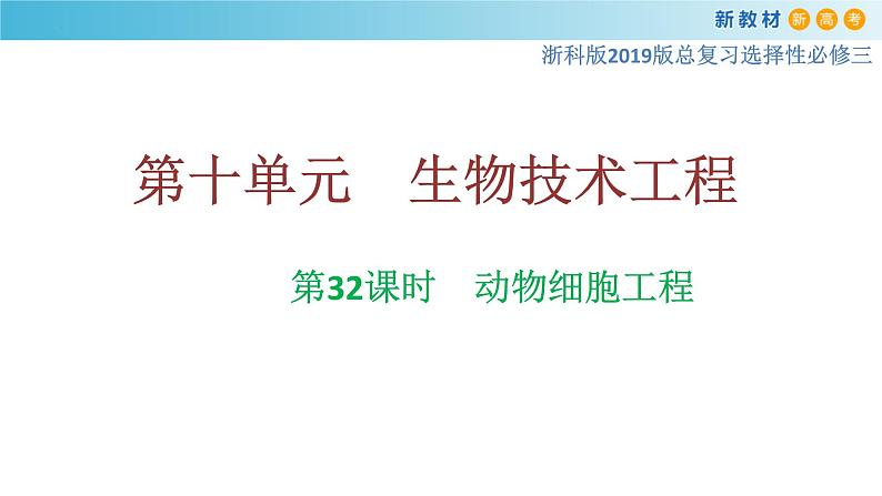 专题32 动物细胞工程-备战2023年高考生物一轮复习全考点精选课件（浙江新教材、新高考专用）01