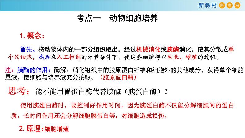 专题32 动物细胞工程-备战2023年高考生物一轮复习全考点精选课件（浙江新教材、新高考专用）02