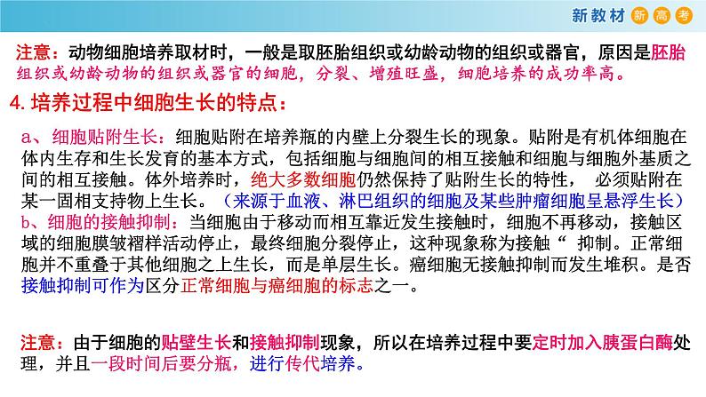 专题32 动物细胞工程-备战2023年高考生物一轮复习全考点精选课件（浙江新教材、新高考专用）04