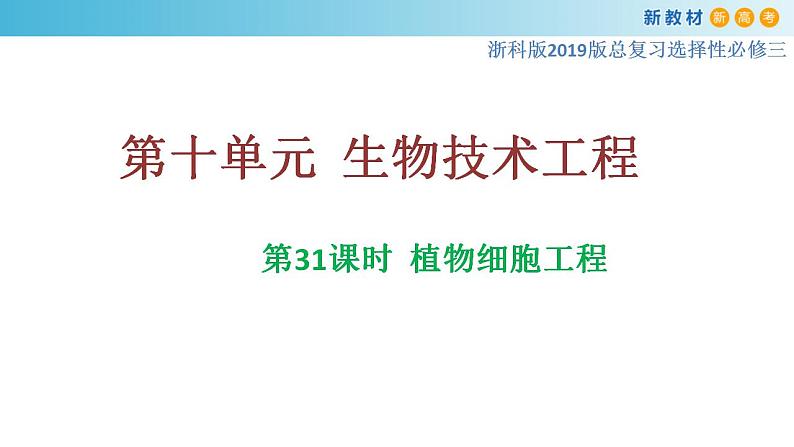 专题31 植物细胞工程-备战2023年高考生物一轮复习全考点精选课件（浙江新教材、新高考专用）第1页