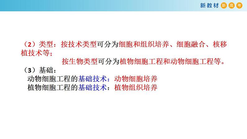 专题31 植物细胞工程-备战2023年高考生物一轮复习全考点精选课件（浙江新教材、新高考专用）第4页