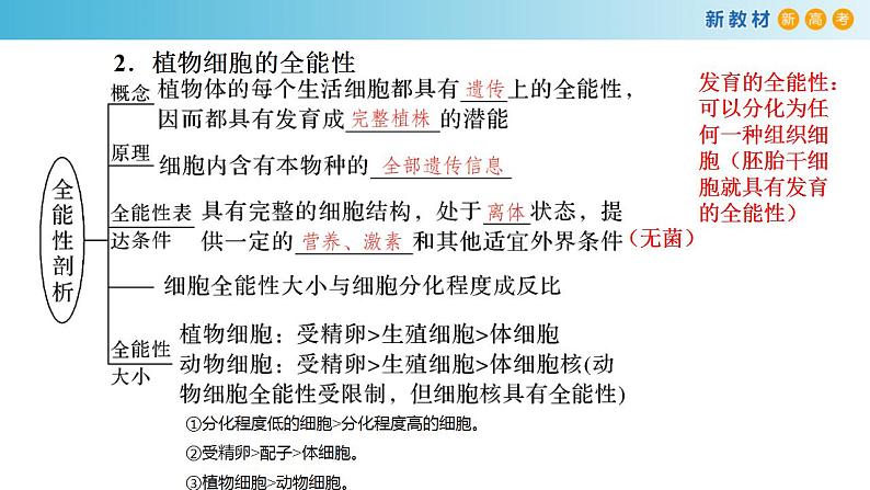 专题31 植物细胞工程-备战2023年高考生物一轮复习全考点精选课件（浙江新教材、新高考专用）第5页