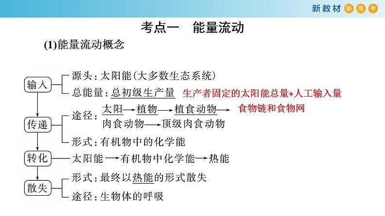 专题29 生态系统和人类环境（第2课时）-备战2023年高考生物一轮复习全考点精选课件（浙江新教材、新高考专用）第2页