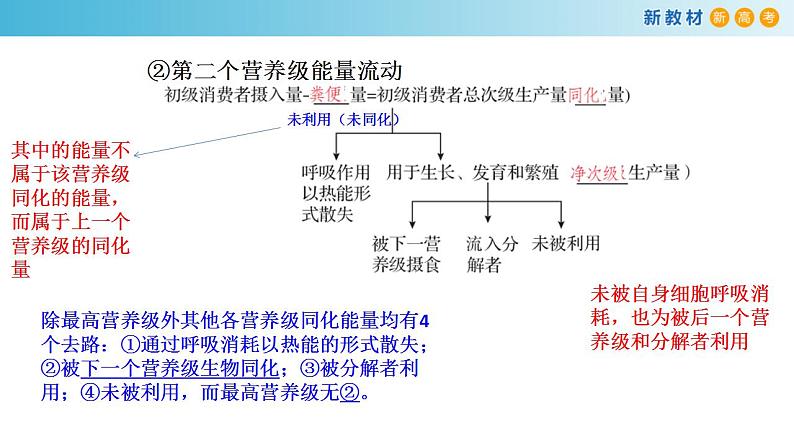 专题29 生态系统和人类环境（第2课时）-备战2023年高考生物一轮复习全考点精选课件（浙江新教材、新高考专用）第5页