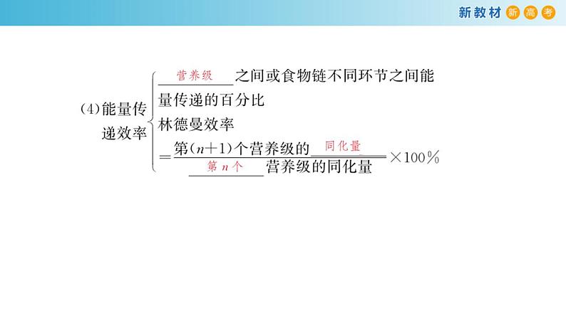 专题29 生态系统和人类环境（第2课时）-备战2023年高考生物一轮复习全考点精选课件（浙江新教材、新高考专用）第6页