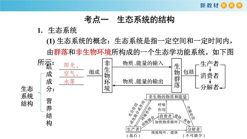 专题29 生态系统和人类环境（第1课时）-备战2023年高考生物一轮复习全考点精选课件（浙江新教材、新高考专用）02