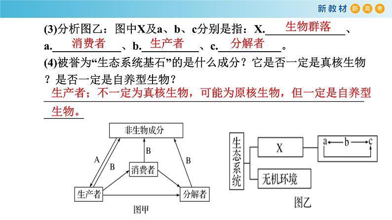 专题29 生态系统和人类环境（第1课时）-备战2023年高考生物一轮复习全考点精选课件（浙江新教材、新高考专用）05