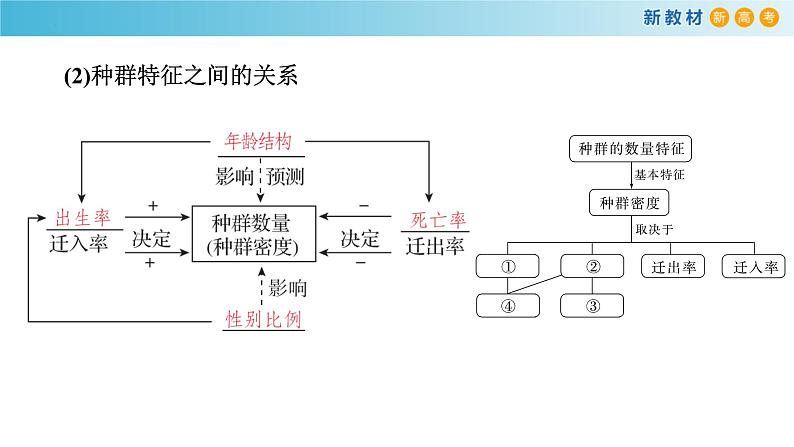 专题27 种群-备战2023年高考生物一轮复习全考点精选课件（浙江新教材、新高考专用）06