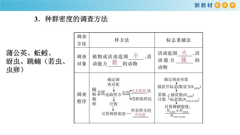 专题27 种群-备战2023年高考生物一轮复习全考点精选课件（浙江新教材、新高考专用）07