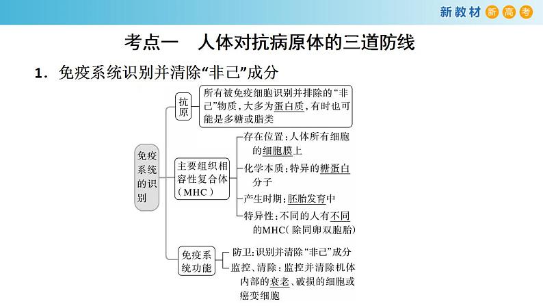 专题25 免疫调节-备战2023年高考生物一轮复习全考点精选课件（浙江新教材、新高考专用）第2页