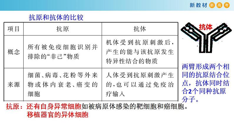 专题25 免疫调节-备战2023年高考生物一轮复习全考点精选课件（浙江新教材、新高考专用）第5页