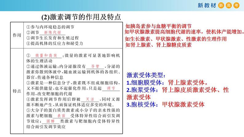 专题24 体液调节-备战2023年高考生物一轮复习全考点精选课件（浙江新教材、新高考专用）第5页