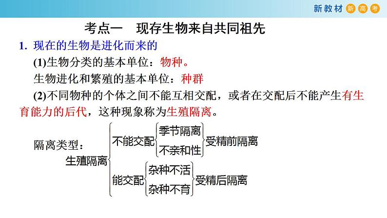 专题21 生物进化-备战2023年高考生物一轮复习全考点精选课件（浙江新教材、新高考专用）02