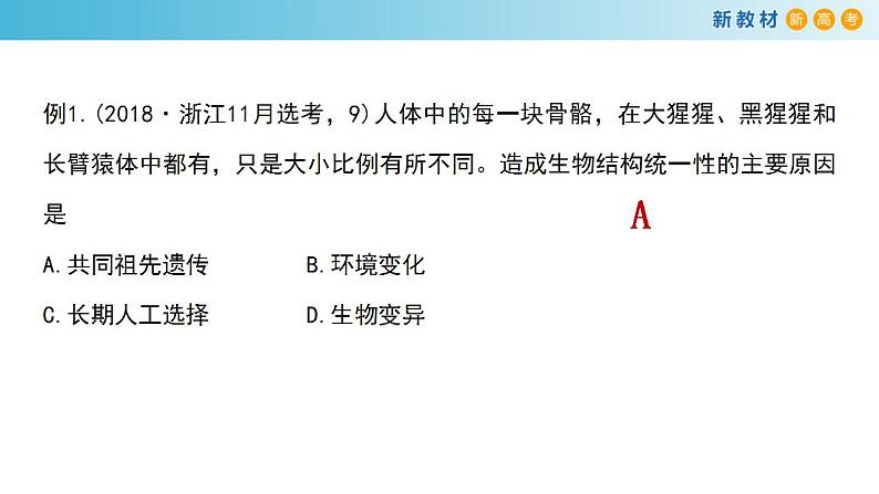 专题21 生物进化-备战2023年高考生物一轮复习全考点精选课件（浙江新教材、新高考专用）07