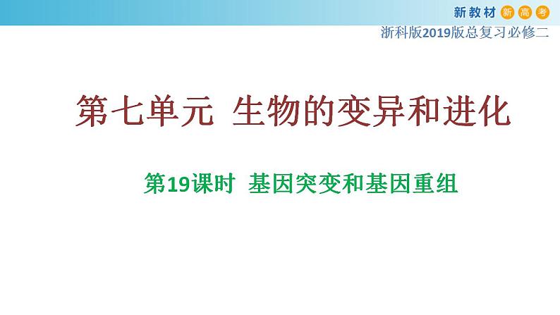 专题19 基因突变和基因重组-备战2023年高考生物一轮复习全考点精选课件（浙江新教材、新高考专用）第1页