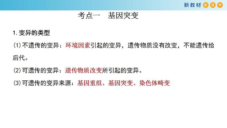 专题19 基因突变和基因重组-备战2023年高考生物一轮复习全考点精选课件（浙江新教材、新高考专用）第2页