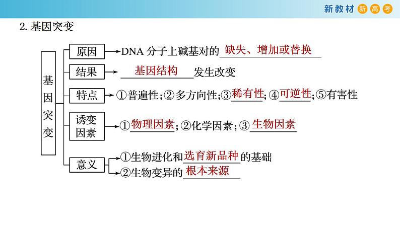 专题19 基因突变和基因重组-备战2023年高考生物一轮复习全考点精选课件（浙江新教材、新高考专用）第3页