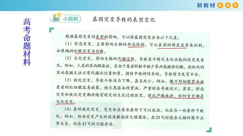 专题19 基因突变和基因重组-备战2023年高考生物一轮复习全考点精选课件（浙江新教材、新高考专用）第4页