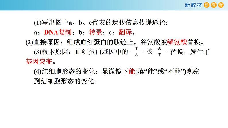 专题19 基因突变和基因重组-备战2023年高考生物一轮复习全考点精选课件（浙江新教材、新高考专用）第6页