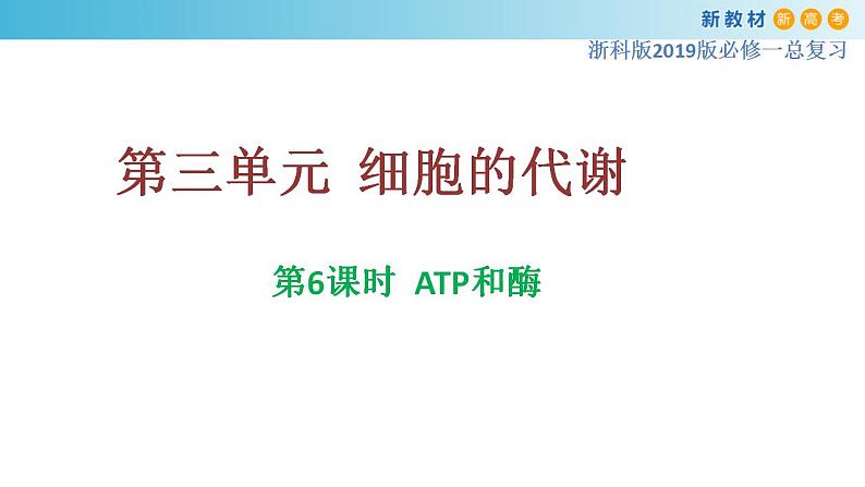 专题6 ATP和酶-备战2023年高考生物一轮复习全考点精选课件（浙江新教材、新高考专用）第1页