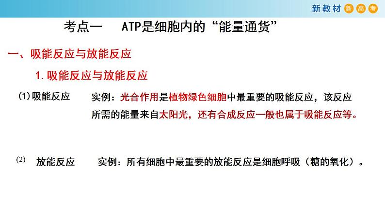 专题6 ATP和酶-备战2023年高考生物一轮复习全考点精选课件（浙江新教材、新高考专用）第2页