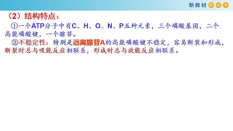 专题6 ATP和酶-备战2023年高考生物一轮复习全考点精选课件（浙江新教材、新高考专用）第7页