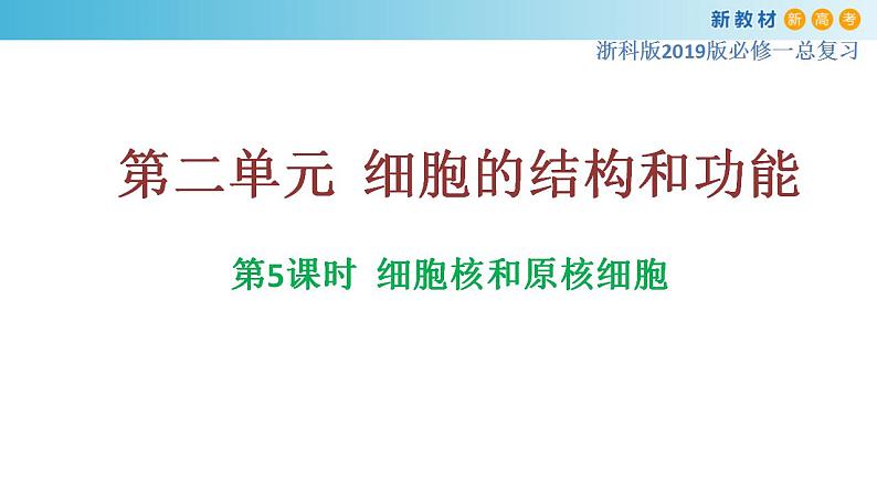 专题5 细胞核和原核细胞-备战2023年高考生物一轮复习全考点精选课件（浙江新教材、新高考专用）01