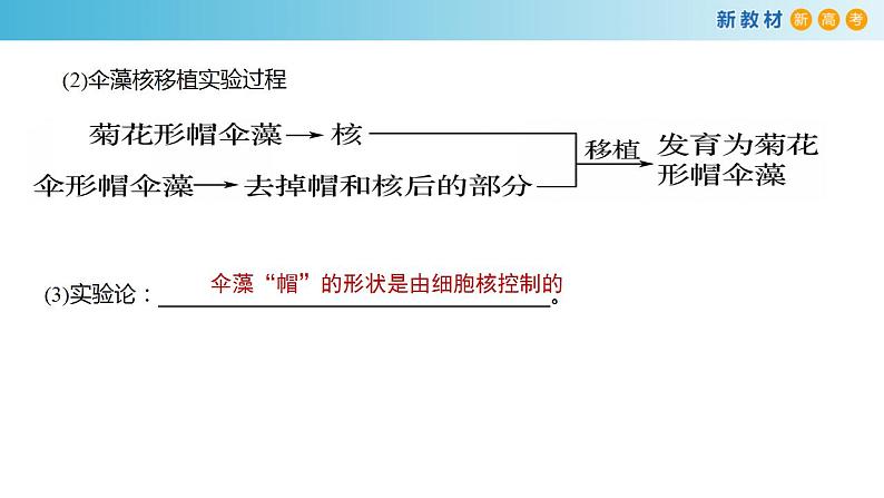 专题5 细胞核和原核细胞-备战2023年高考生物一轮复习全考点精选课件（浙江新教材、新高考专用）05