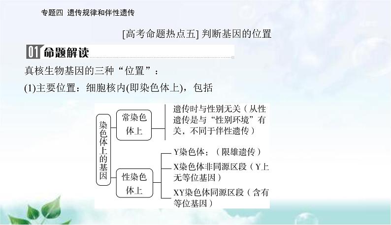 2023届高考生物二轮复习高考命题热点五课件第2页