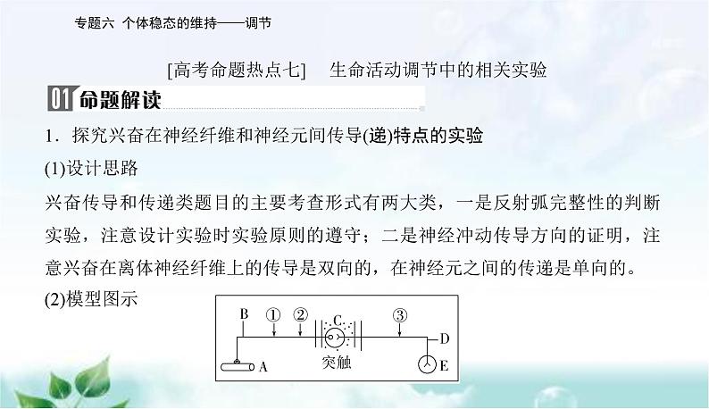 2023届高考生物二轮复习高考命题热点七课件第2页