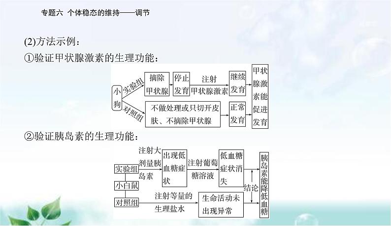 2023届高考生物二轮复习高考命题热点七课件第5页