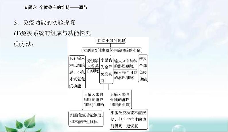 2023届高考生物二轮复习高考命题热点七课件第7页