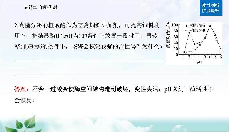 2023届高考生物二轮复习第3讲酶和ATP课件第6页