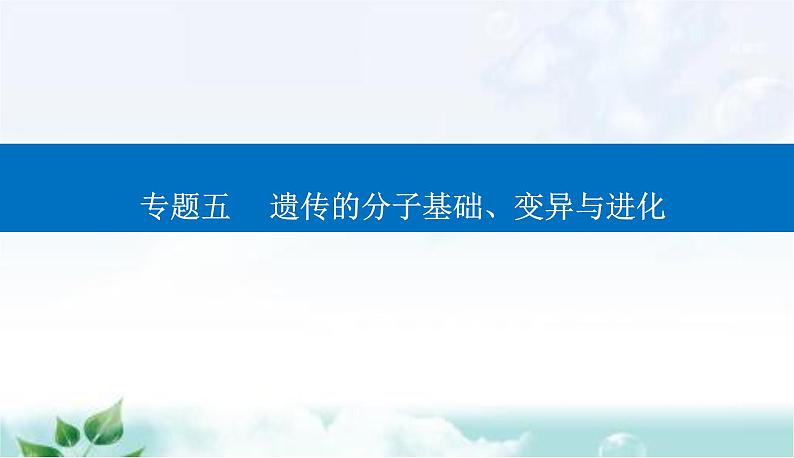 2023届高考生物二轮复习第8讲生物的变异与进化课件第1页