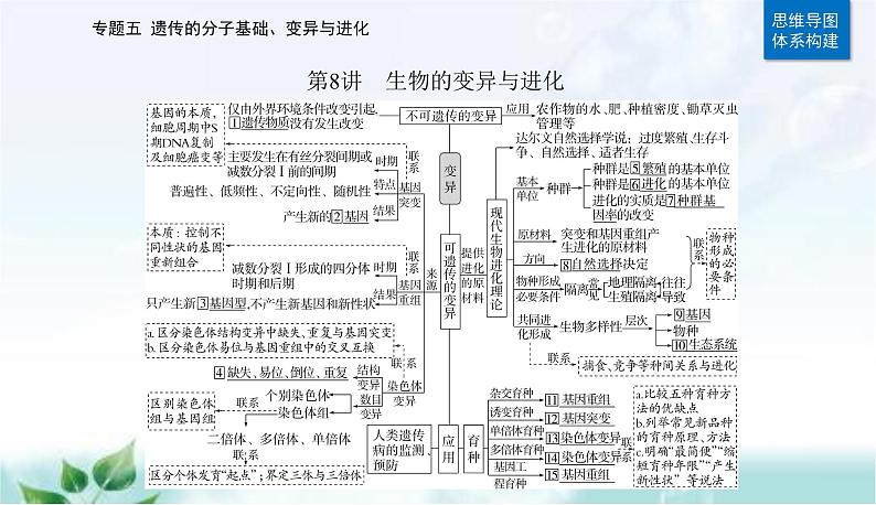 2023届高考生物二轮复习第8讲生物的变异与进化课件第2页